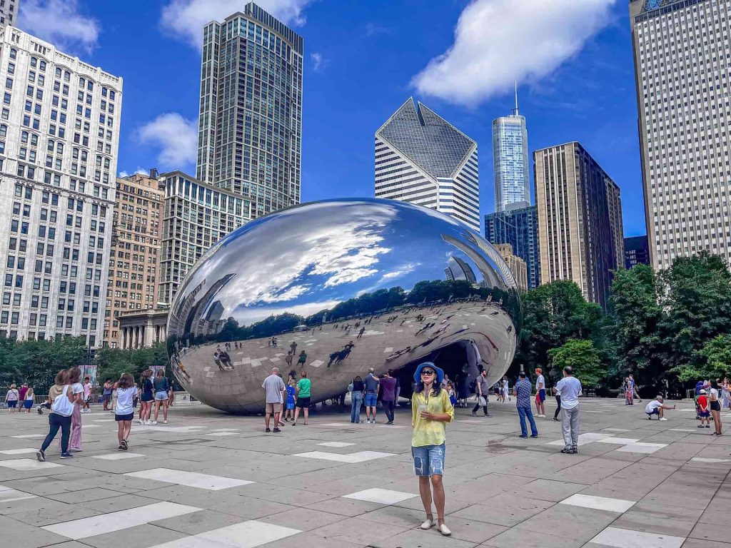 convex mirrors in Illinois